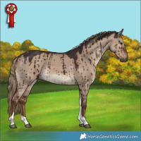 Horse Color:Liver Red Dun Tobiano Brindle 