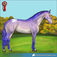 Horse Color:Watercolor Bay Dun Appaloosa Rabicano Brindle