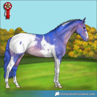 Horse Color:Watercolor Brown Dun Tobiano Appaloosa Rabicano Brindle 