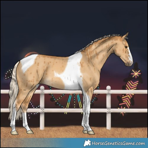 Horse Color:Palomino Dun Tobiano Brindle 