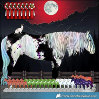 Horse Color:Nacre Watercolor White Spotted Brown Ice Dun Tobiano