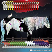 Horse Color:Nacre Watercolor White Spotted Brown Ice Dun Tobiano 