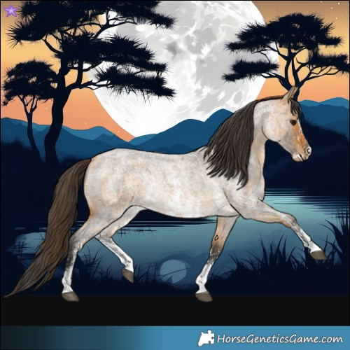 Horse Color:Buckskin Roan Sabino Rabicano and Buckskin Roan Sabino Rabicano