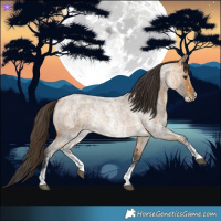 Horse Color:Buckskin Roan Sabino Rabicano  and Buckskin Roan Sabino Rabicano 