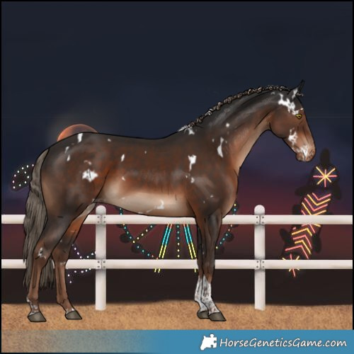 Horse Color:White Spotted Liver Chestnut Tobiano Varnish Rabicano 