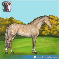 Horse Color:White Spotted Silver Buckskin Dun Tobiano Blanket Rabicano  and White Spotted Chocolate Palomino Dun Tobiano Varnish 