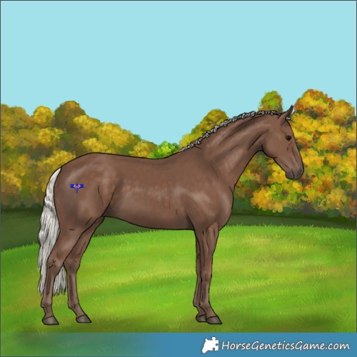 Horse Color:Silver Black