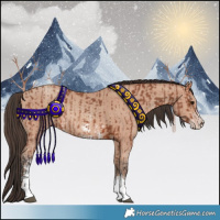 Horse Color:Bay Sabino Rabicano  and Amber Champagne Sabino Rabicano 