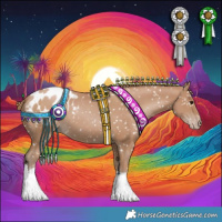 Horse Color:Black Pearl Appaloosa