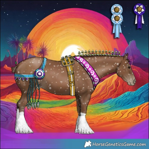 Horse Color:Gray Black Pearl Appaloosa 
