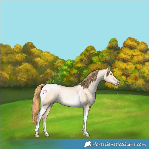 Horse Color:Buckskin Pearl Dun Tobiano 