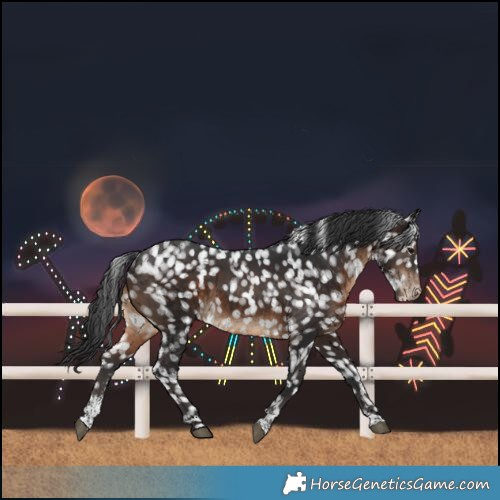 Horse Color:Brown Sabino Snowflake Varnish Rabicano 