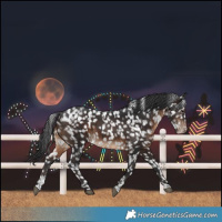 Horse Color:Brown Sabino Snowflake Varnish Rabicano