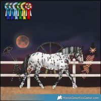 Horse Color:Brown Near Leopard Rabicano 