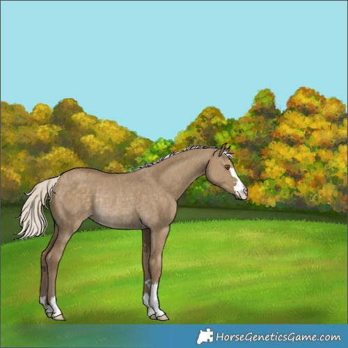 Horse Color:Silver Smoky Grullo Rabicano 
