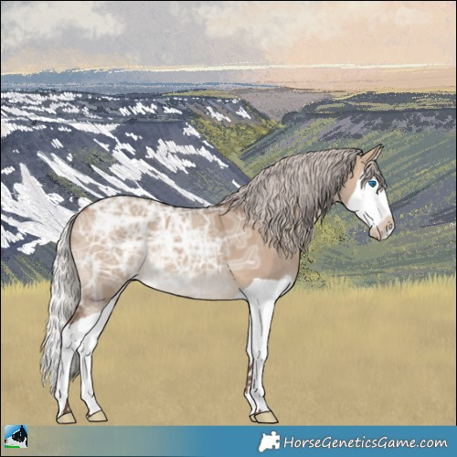 Horse Color:Silver Brown Ice Dun Splash 