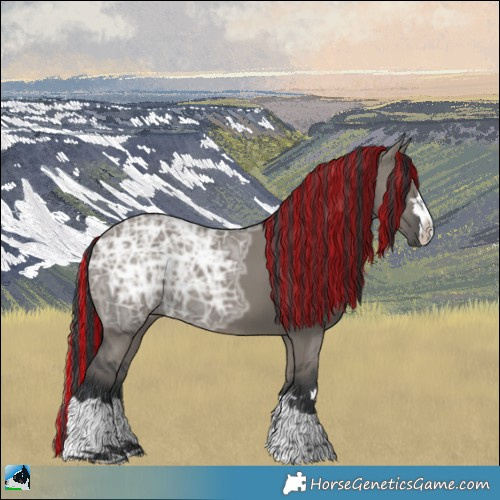 Horse Color:Painted Grullo Ice 