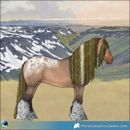 Horse Color:Painted Bay Ice Dun Tobiano Rabicano 