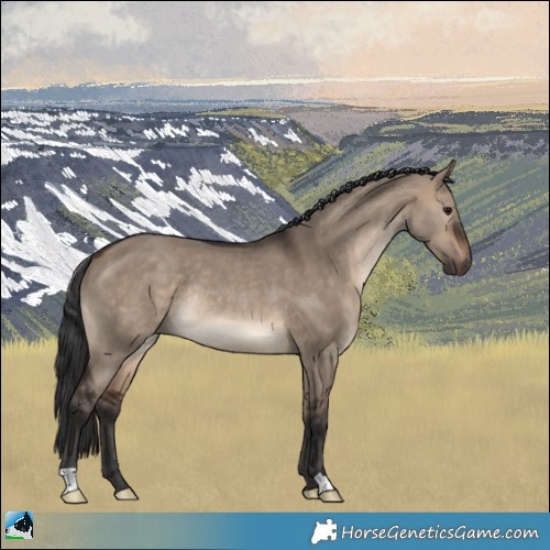 Horse Color:Brown Dun Rabicano 