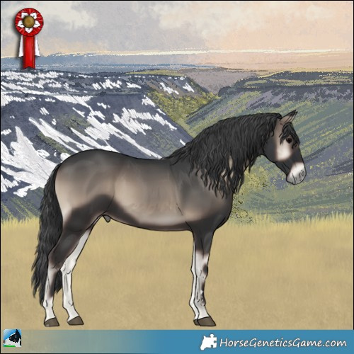 Horse Color:Blue Onyx 