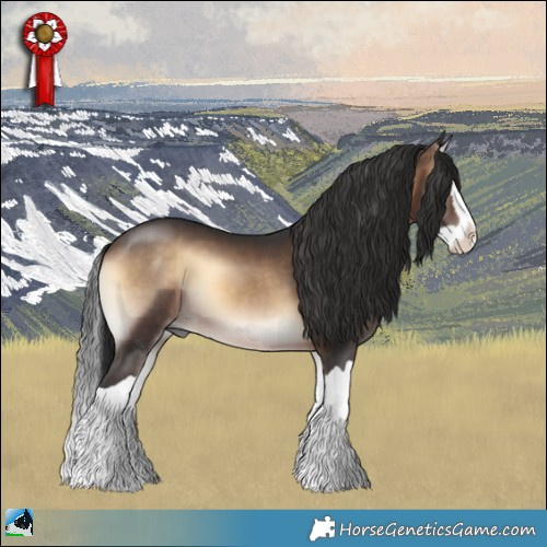 Horse Color:Brown Onyx Splash 