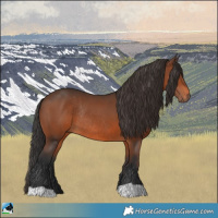 Horse Color:Brown Rabicano 