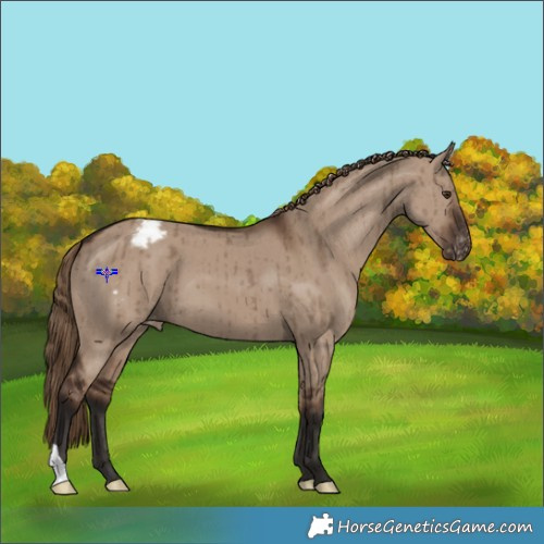 Horse Color:Liver Red Dun Varnish Brindle 