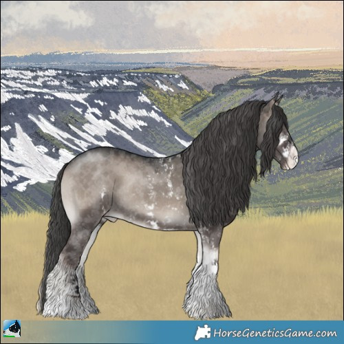 Horse Color:Grullo Onyx Mushroom Sabino Appaloosa Rabicano 