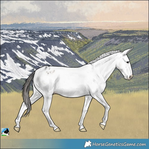 Horse Color:Brown Onyx Mushroom Sabino Blanket Brindle