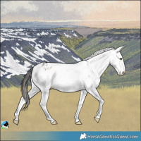 Horse Color:Brown Onyx Mushroom Sabino Blanket Brindle 