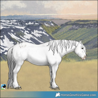Horse Color:Brown Onyx Mushroom Sabino Varnish Brindle 