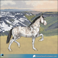 Horse Color:Brown Onyx Mushroom Sabino Appaloosa Brindle 
