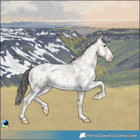 Horse Color:Brown Onyx Mushroom Sabino Appaloosa Brindle 