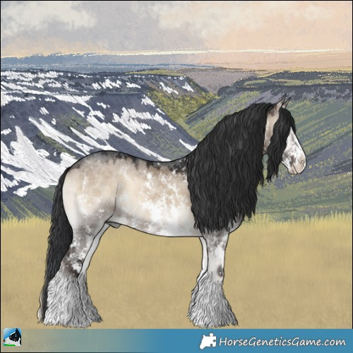 Horse Color:Brown Onyx Sabino 