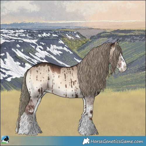 Horse Color:Liver Red Dun Onyx Mushroom Sabino Rabicano Brindle