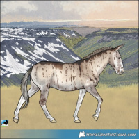 Horse Color:Liver Red Dun Onyx Mushroom Sabino Rabicano Brindle