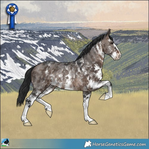 Horse Color:Brown Dun Mushroom Sabino Rabicano Brindle 