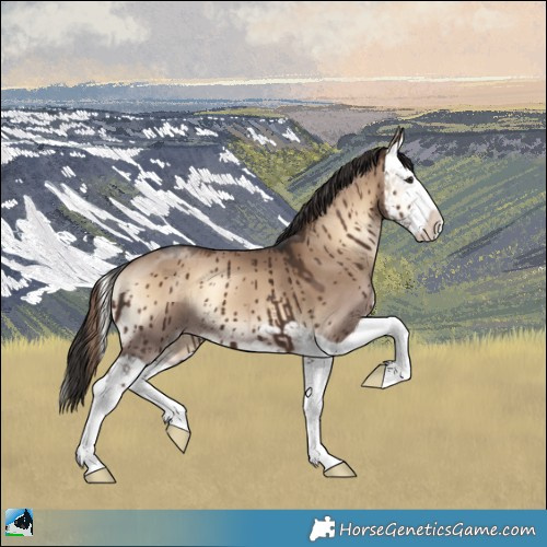Horse Color:Liver Red Dun Onyx Splash Brindle 