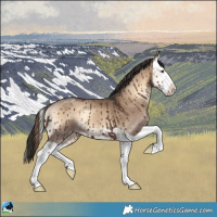 Horse Color:Liver Red Dun Onyx Splash Brindle 