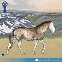 Horse Color:Liver Red Dun Onyx Splash Brindle 
