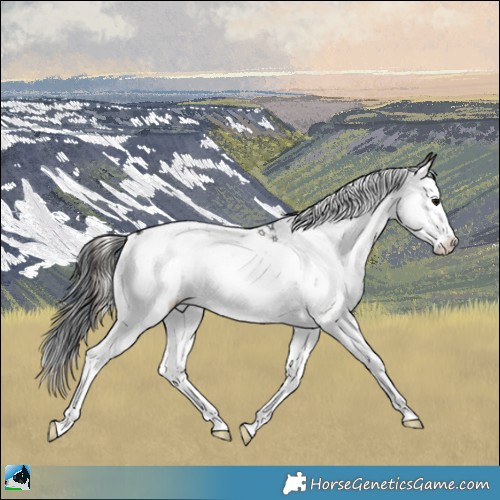 Horse Color:Brown Onyx Mushroom Sabino Splash Appaloosa Rabicano 