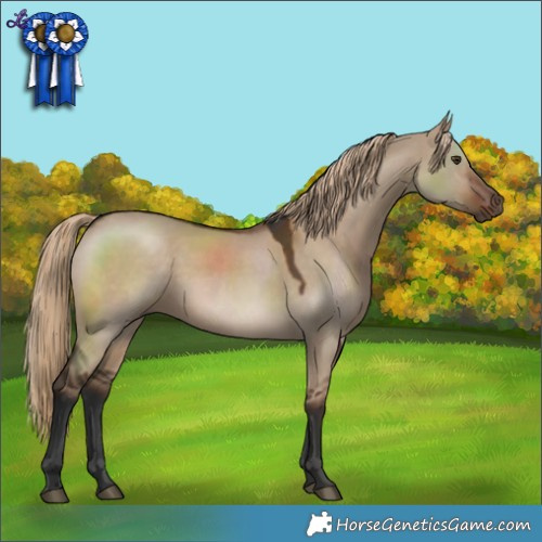 Horse Color:Liver Red Dun 