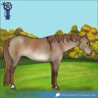 Horse Color:Liver Red Dun