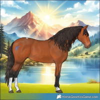 Horse Color:Bay Tobiano 