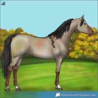 Horse Color:Liver Red Dun 
