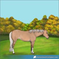 Horse Color:Silver Bay Dun Tobiano Rabicano 
