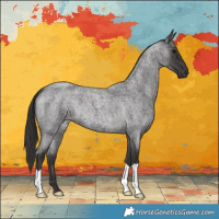 Horse Color:Smoky Blue Roan 
