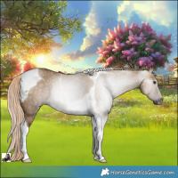 Horse Color:Gray Chocolate Palomino Dun Tobiano Rabicano 