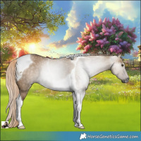 Horse Color:Gray Chocolate Palomino Dun Tobiano Rabicano 