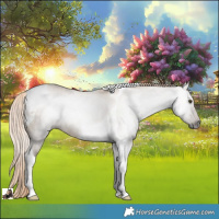 Horse Color:Gray Chocolate Palomino Dun Tobiano Rabicano